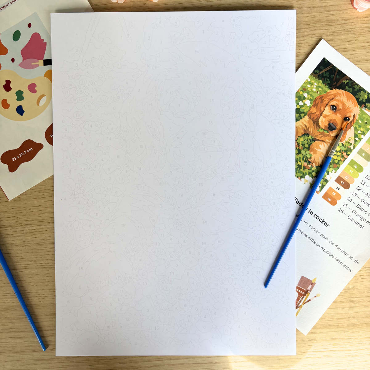 peinture-au-num-ro-chien-teddy-kit-toile-a4-france image 5