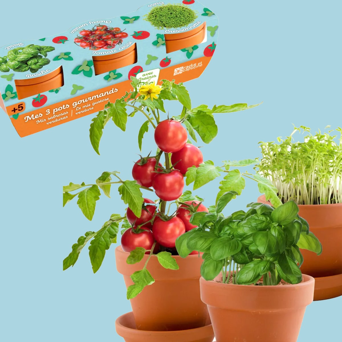 coffret-trio-pots-gourmands-kit-planter-bio-3-pots image 1