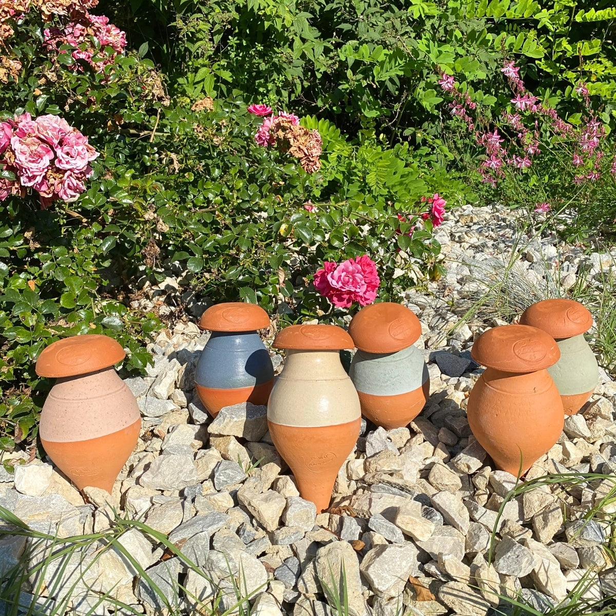 ollas-planter-0-5-l-cr-me-maill-e-arrosage image 2