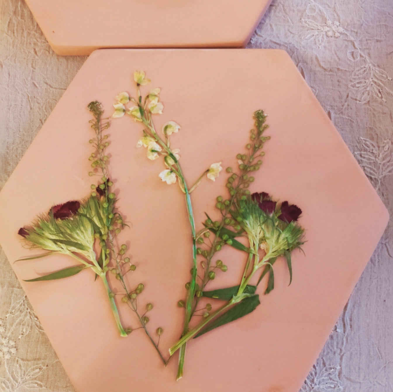 mes-courses-en-vrac-presse-fleurs-et-herbes-micro-ondes-terre-cuite image 5