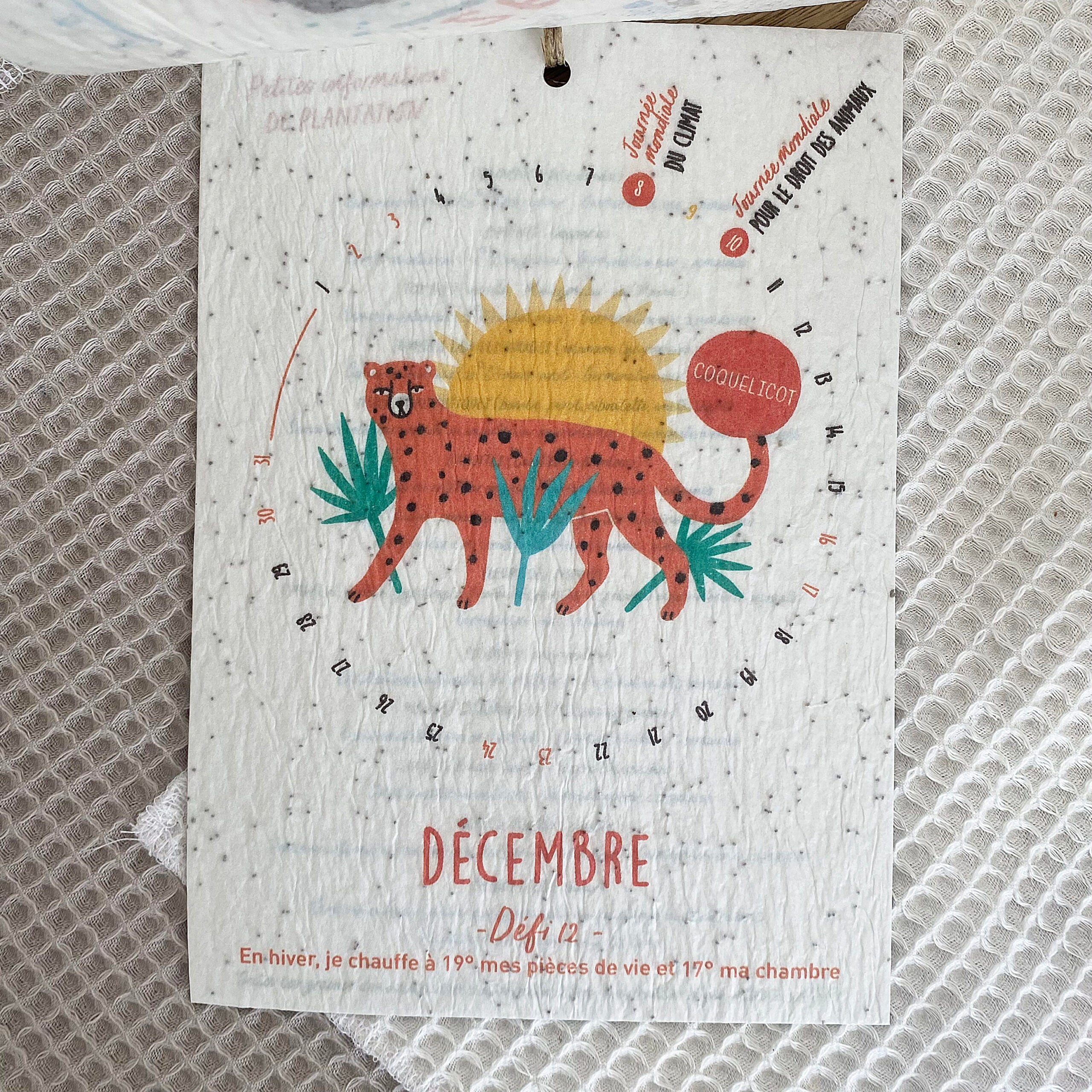 calendrier-ensemenc-plan-te-2024-papier-planter-a5 image 3