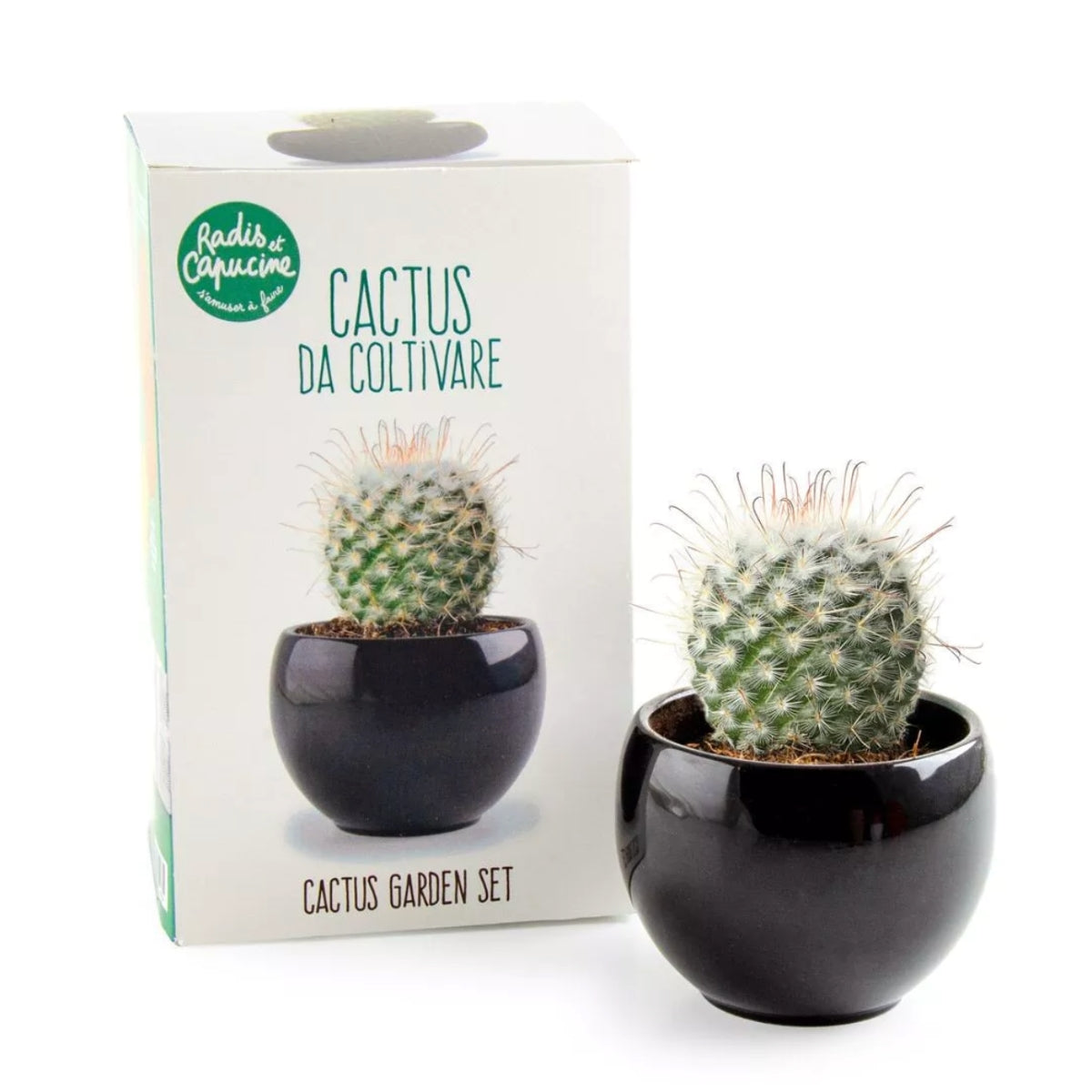 growing-paper-kits-kit-cactus-faire-pousser-pot-c-ramique image 2