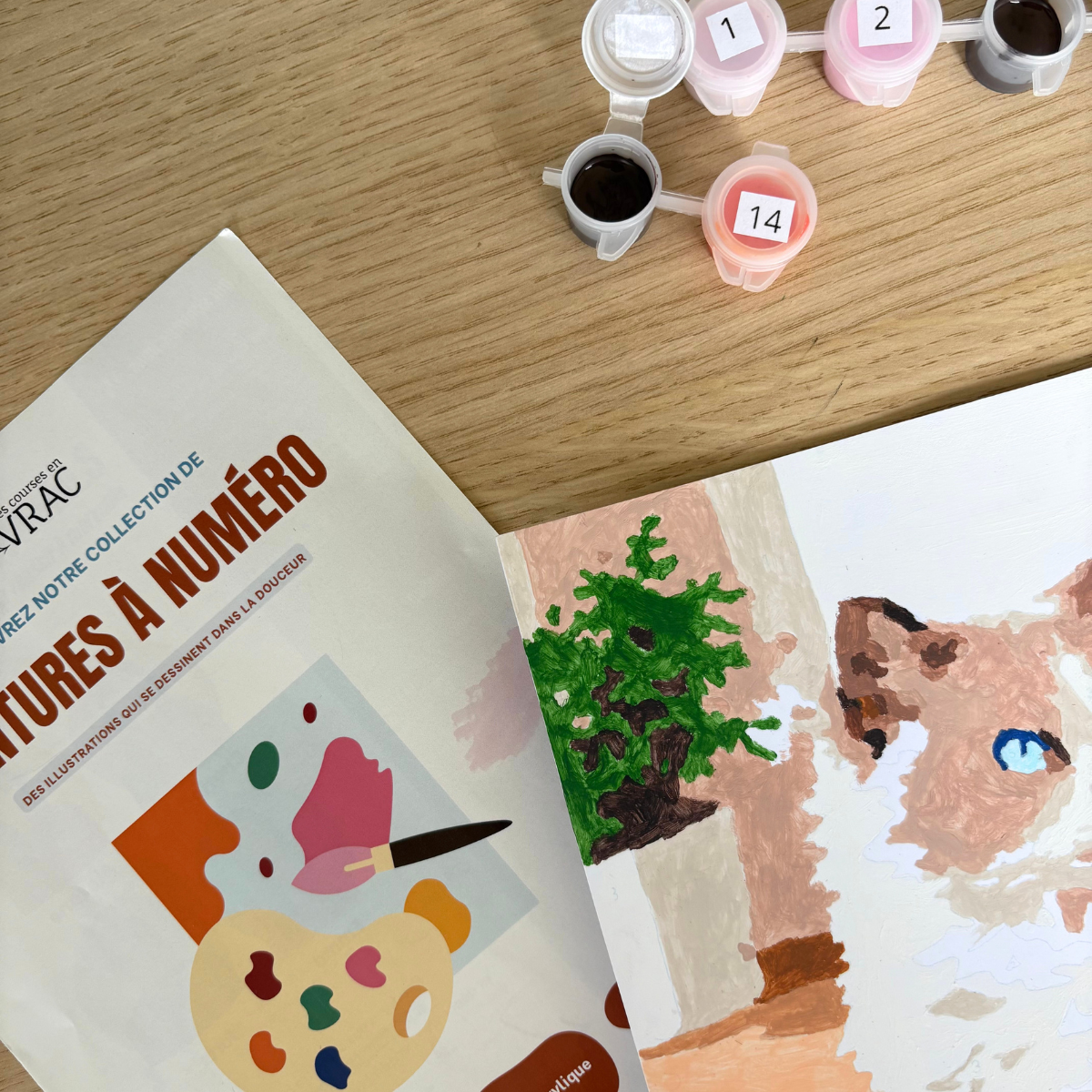 peinture-par-num-ros-chat-vulcain-a4-biosourc-e image 3