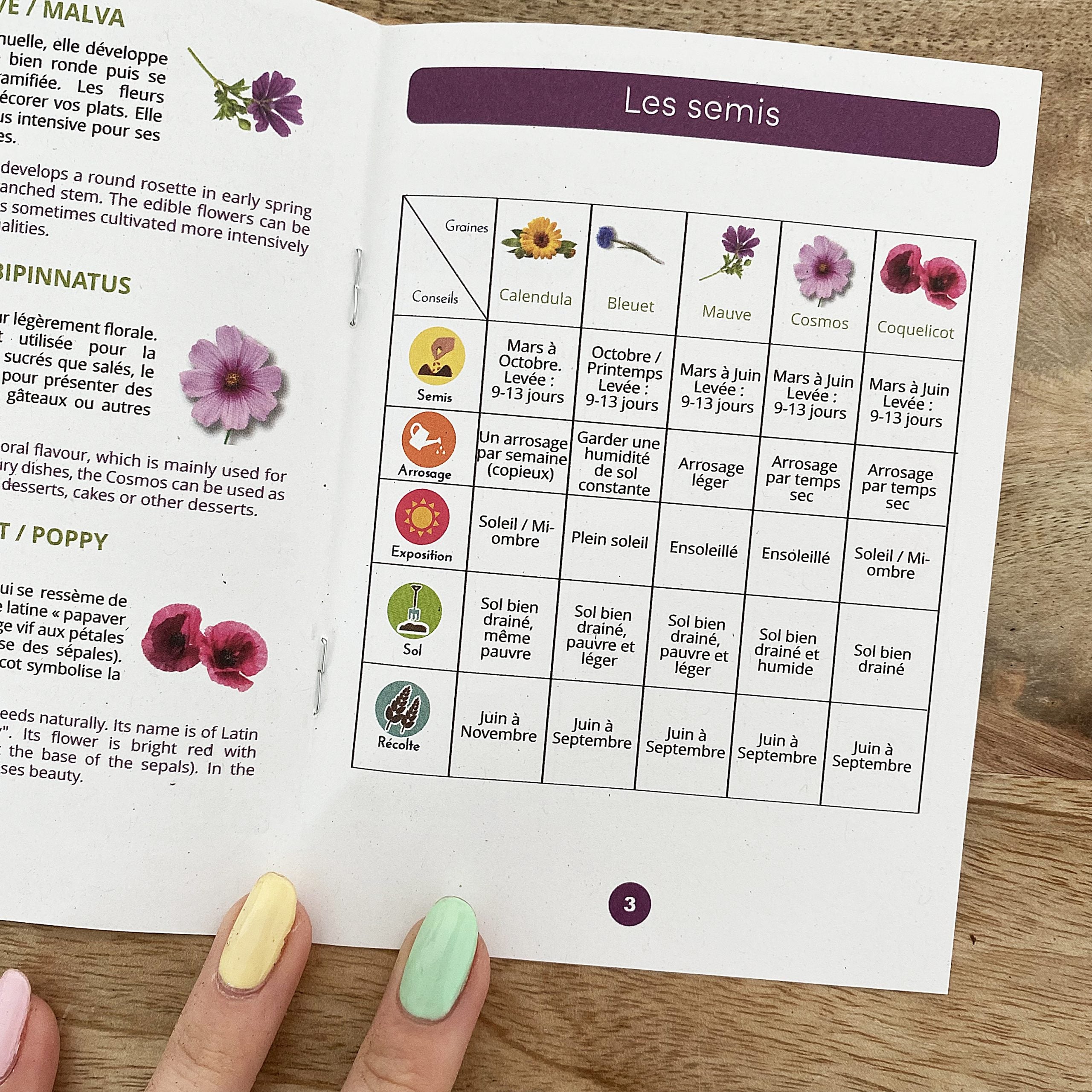 mes-courses-en-vrac-fleurs-comestibles-bio-coffret-semis-5-graines image 4