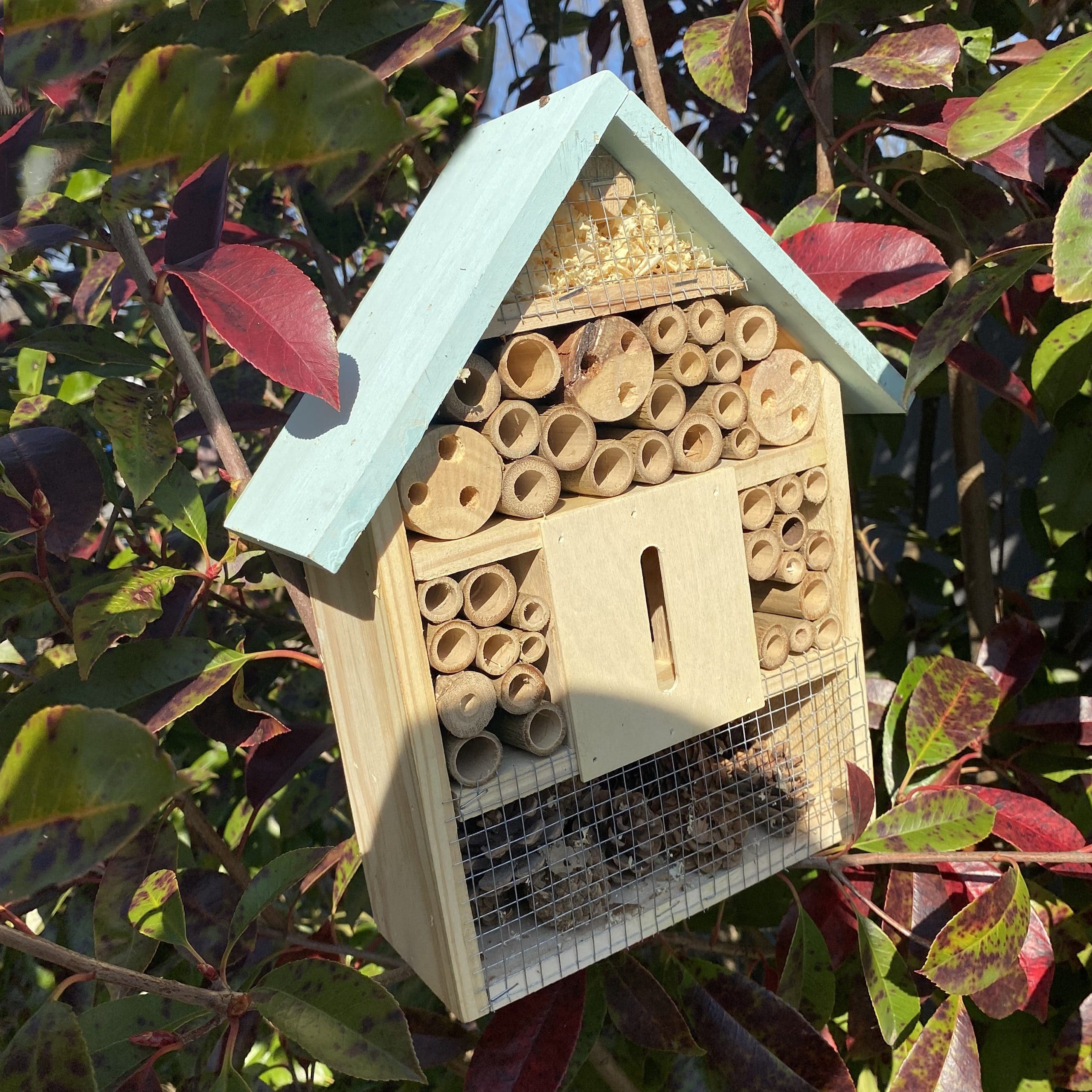 mes-courses-en-vrac-grand-h-tel-insectes-bois-naturel image 2
