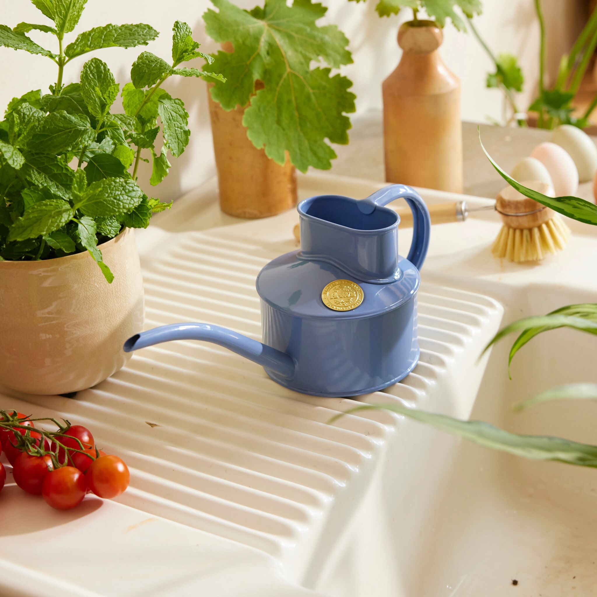 haws-fazeley-flow-houseplant-set-arrosoir-bluebell-1-pinte image 3