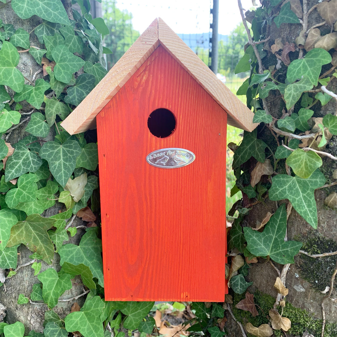 esschert-design-nichoir-oiseaux-bois-coloris-al-atoire-25-cm image 4