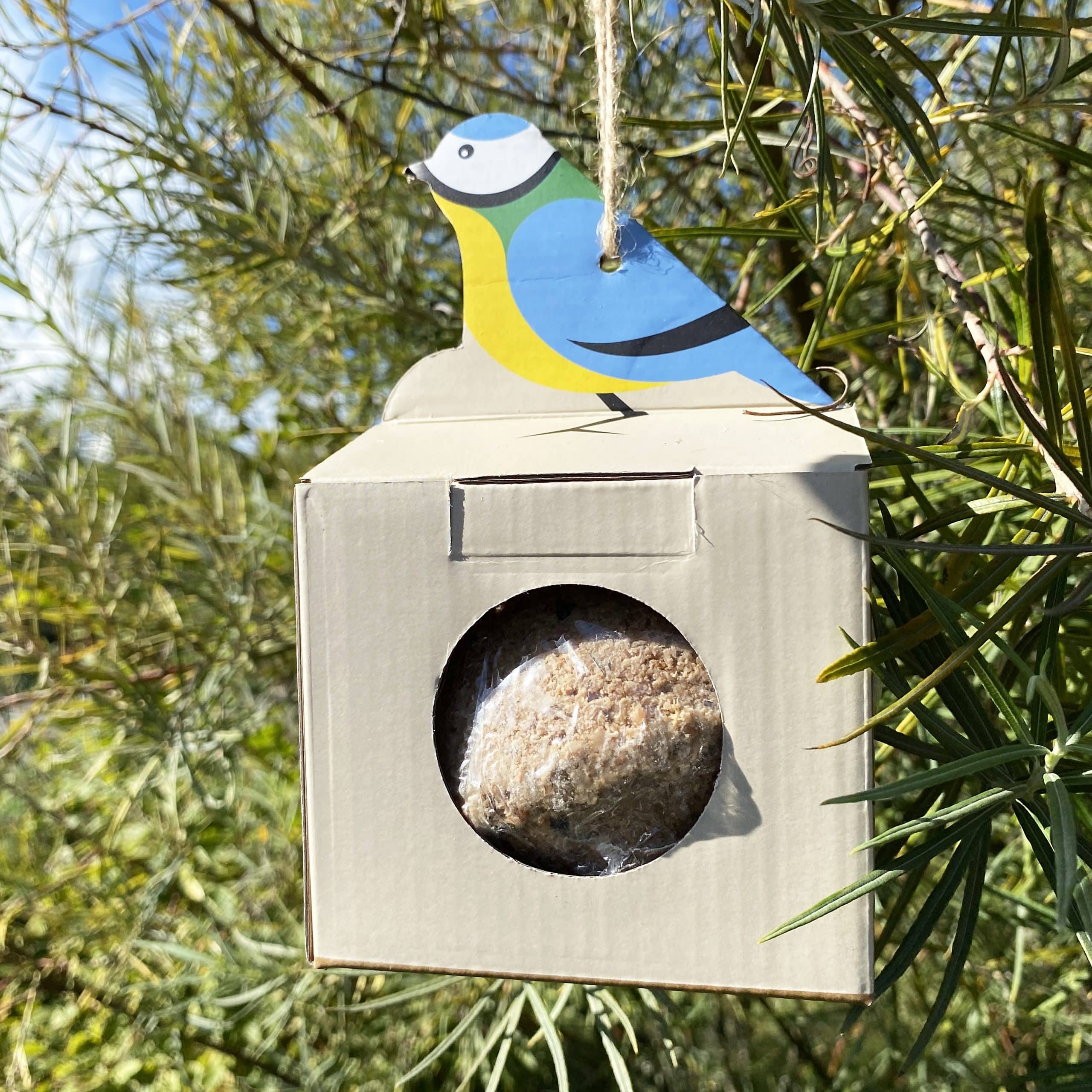mes-courses-en-vrac-oiseaux-d-vidoir-boules-de-graisses-g-antes-500-g image 1