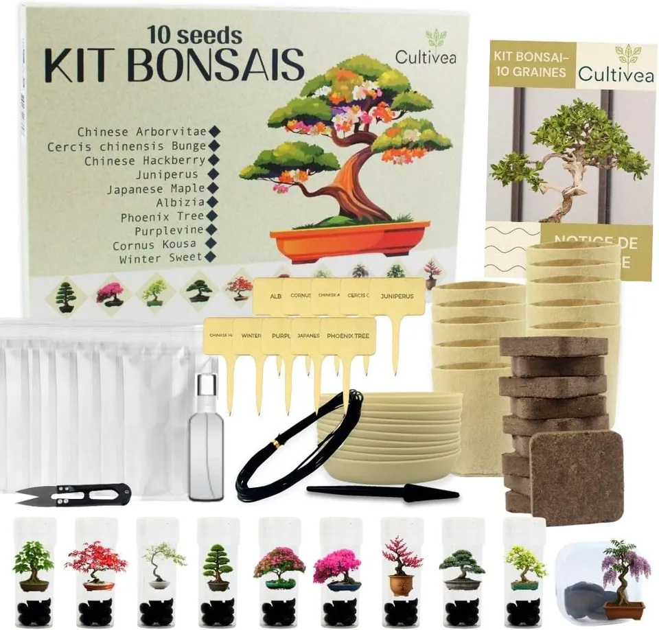 cultivea-kit-complet-10-bonsa-graines-et-accessoires-planter image 1