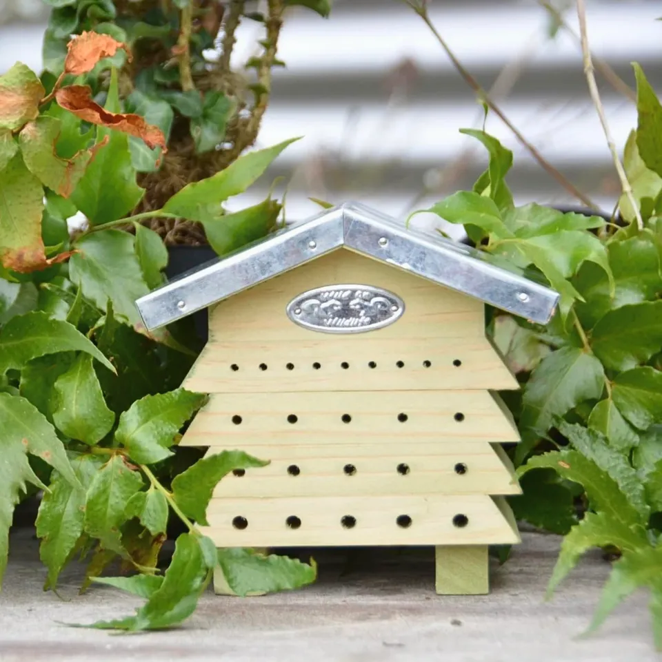 esschert-design-abri-abeilles-bois-15-7-cm image 1