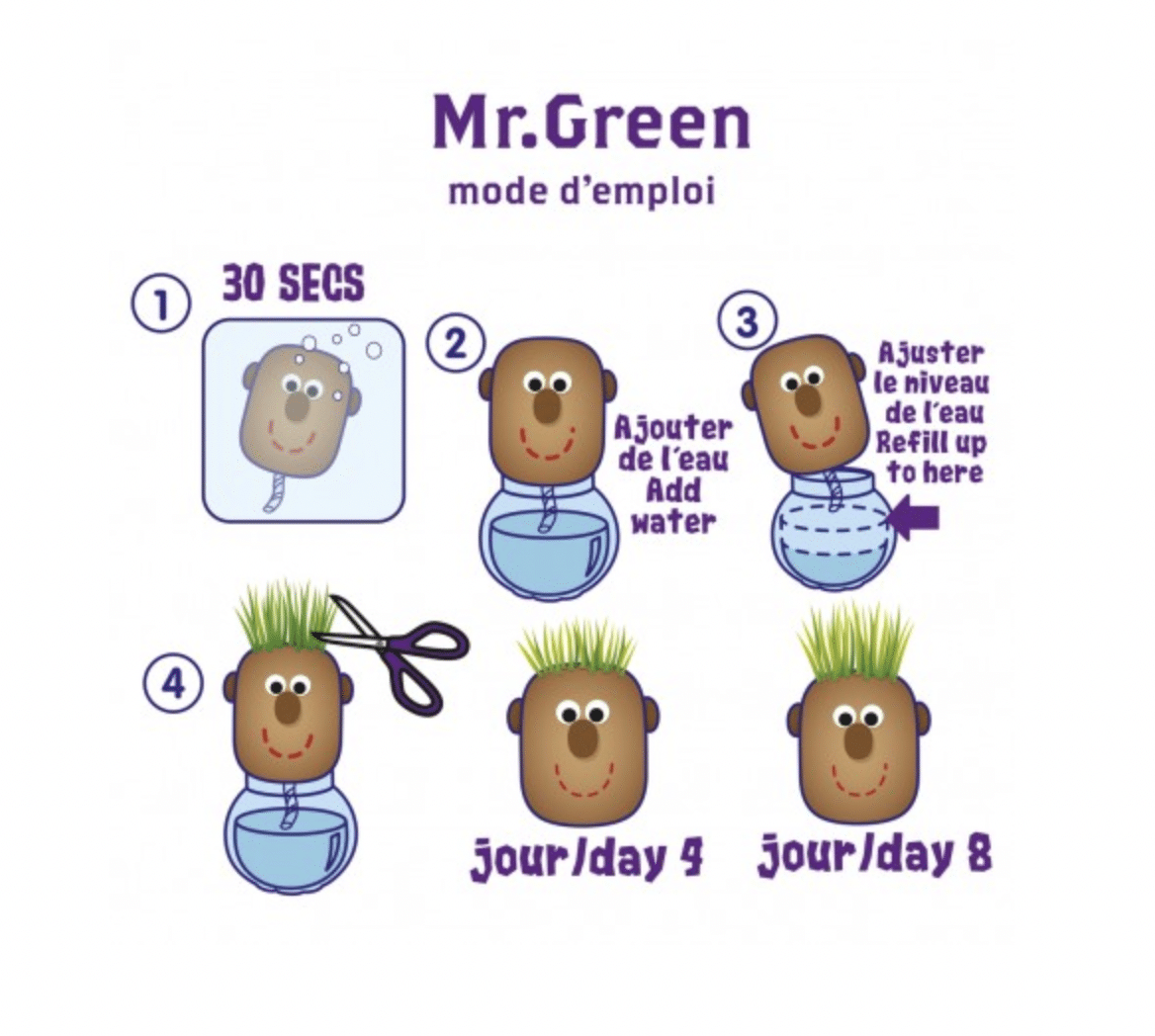 monsieur-green-t-te-pousser-gazon-bocal-verre image 2