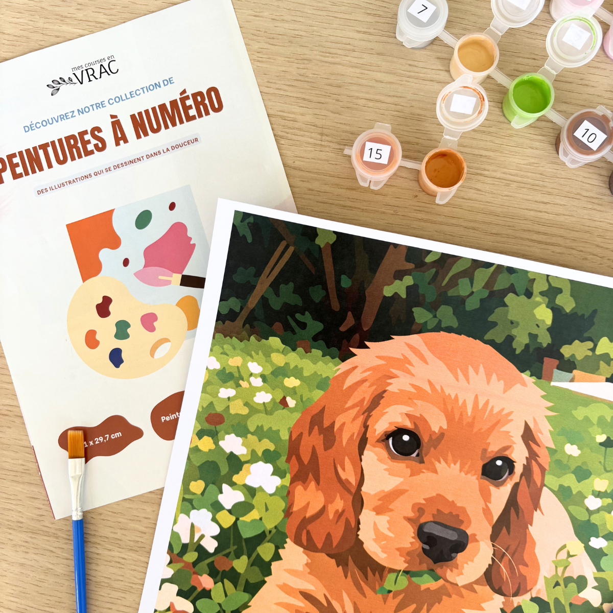 peinture-au-num-ro-chien-teddy-kit-toile-a4-france image 3