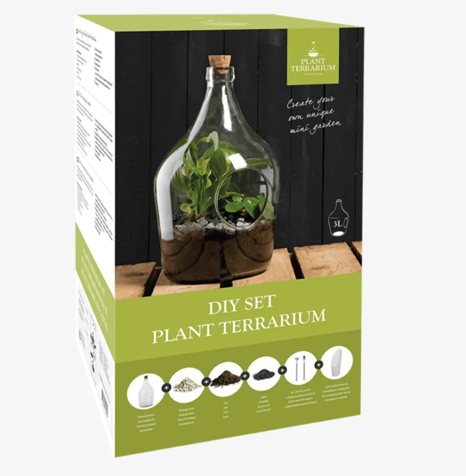 mes-courses-en-vrac-terrariums-terrarium-v-g-tal-faire-soi-m-me-3-l-kit-verre image 1