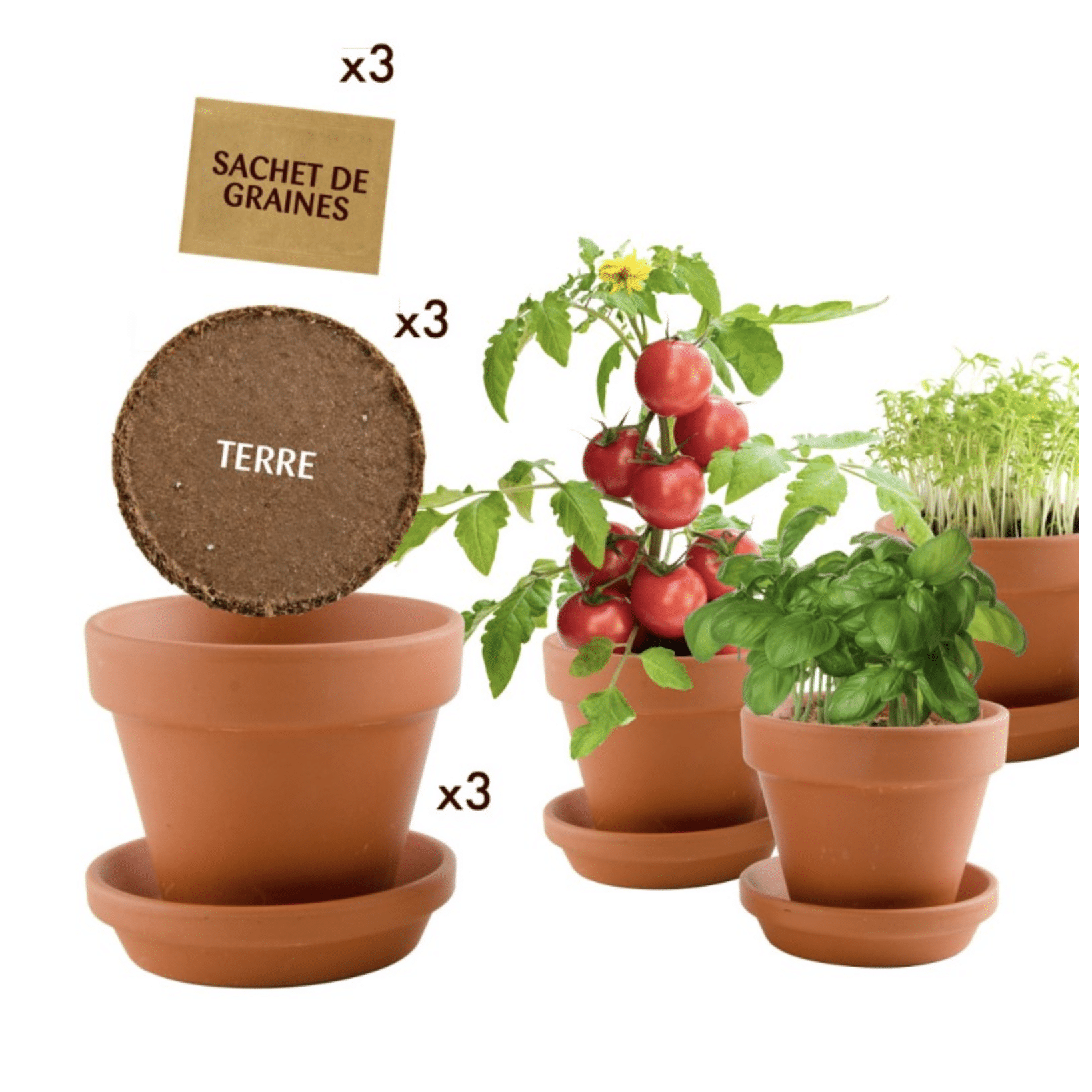 coffret-trio-pots-gourmands-kit-planter-bio-3-pots image 2