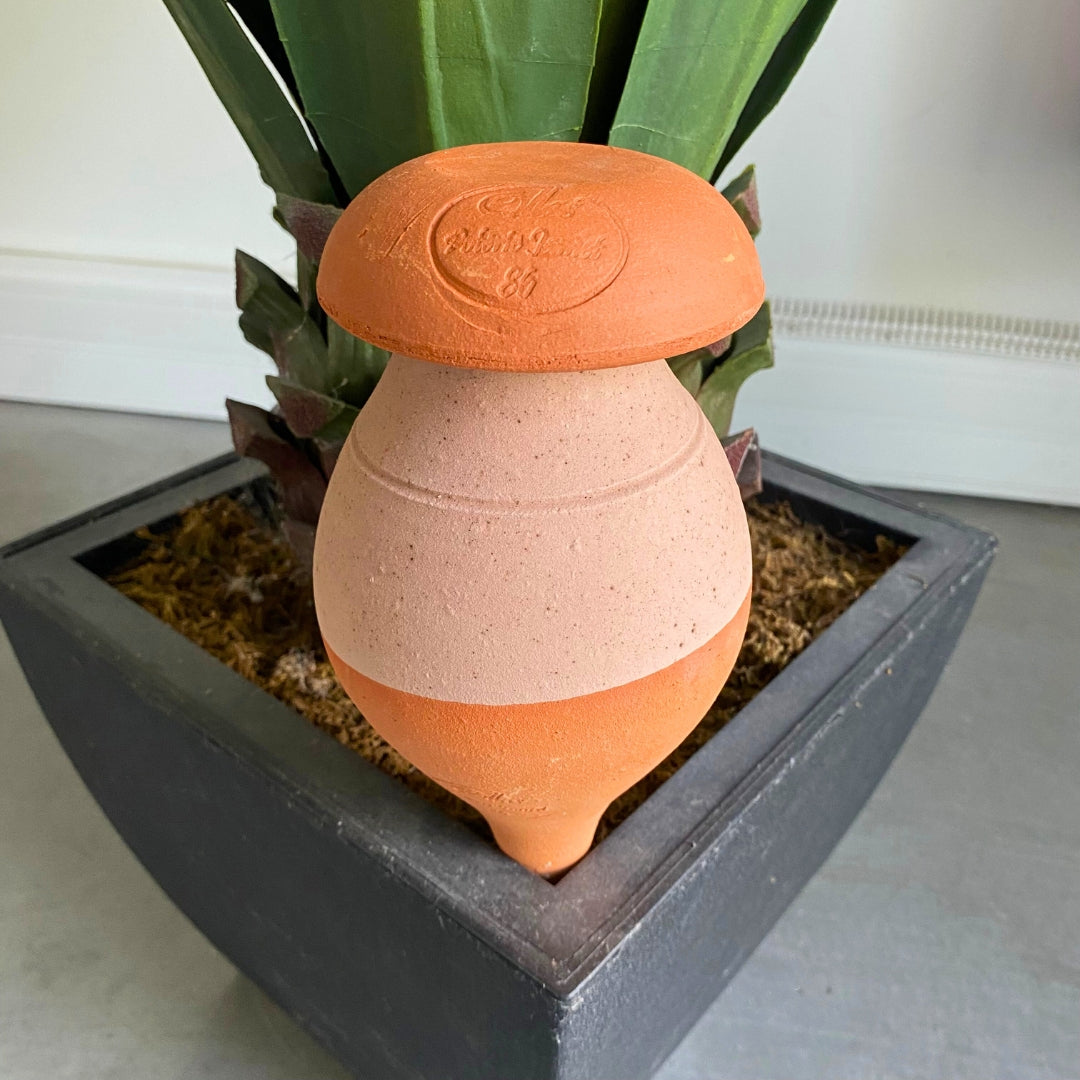 jamet-ollas-planter-0-5-l-rose-mat-arrosage-autonome-pot image 4