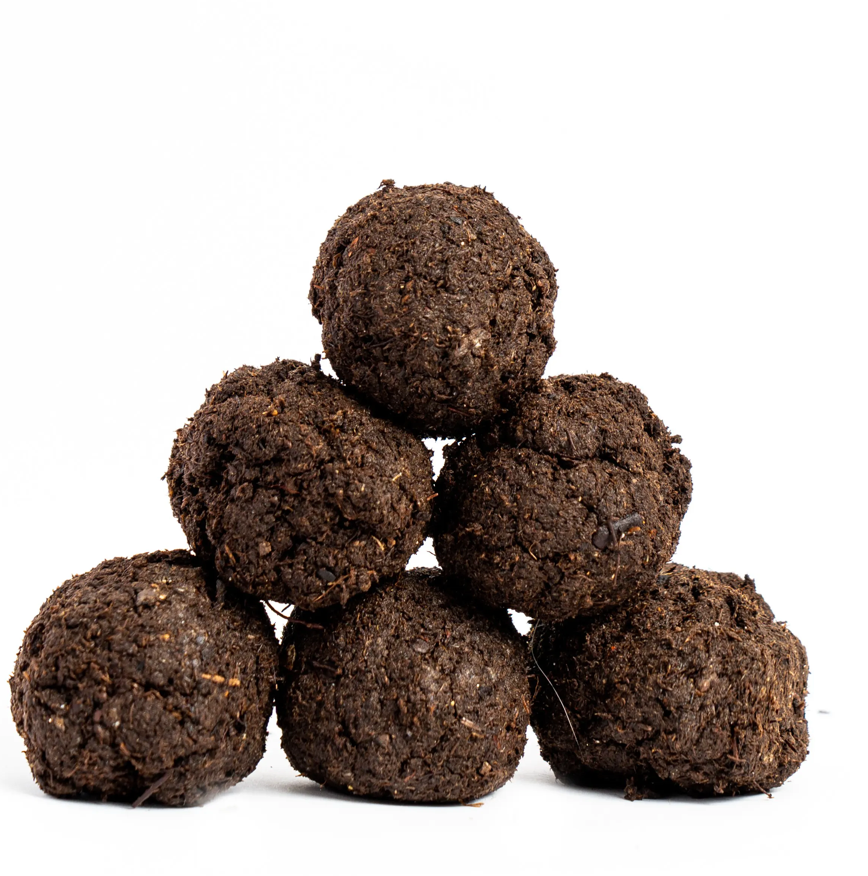 mes-courses-en-vrac-germination-kit-bombes-de-graines-mellif-res image 5