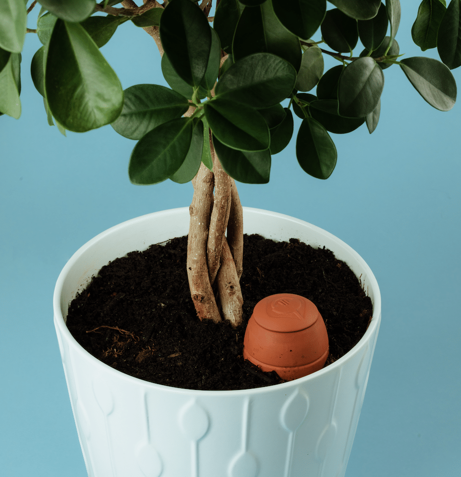 wepot-pack-planter-ollas-5-pi-ces-xs-s-interieur image 5