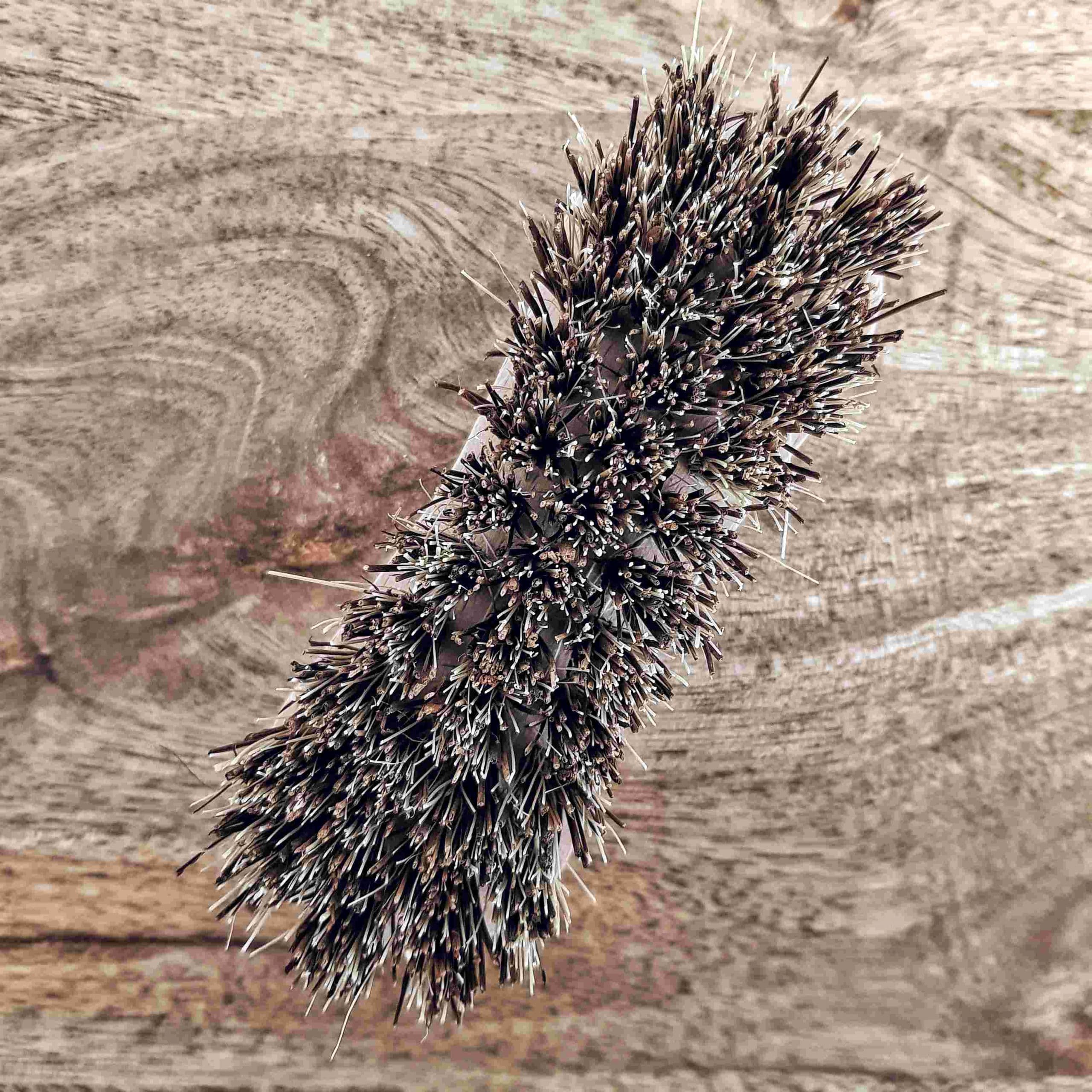mes-courses-en-vrac-brosses-et-goupillons-brosse-r-curer-bois-tampico-12-cm image 3