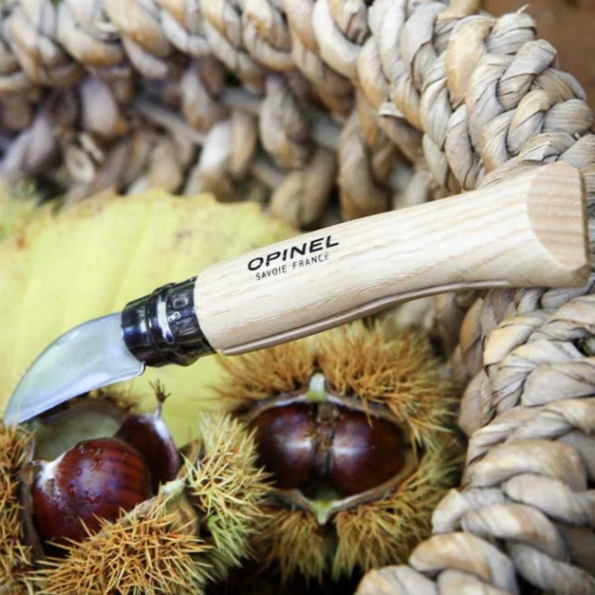 opinel-n-07-couteau-ch-taignes-lame-courte image 4