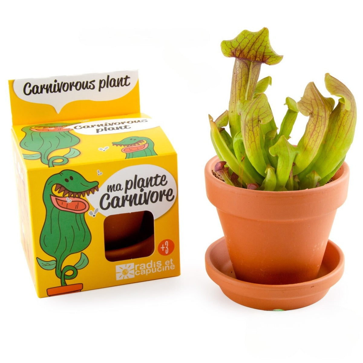 mes-courses-en-vrac-kit-plante-carnivore-pot-terre-cuite image 3