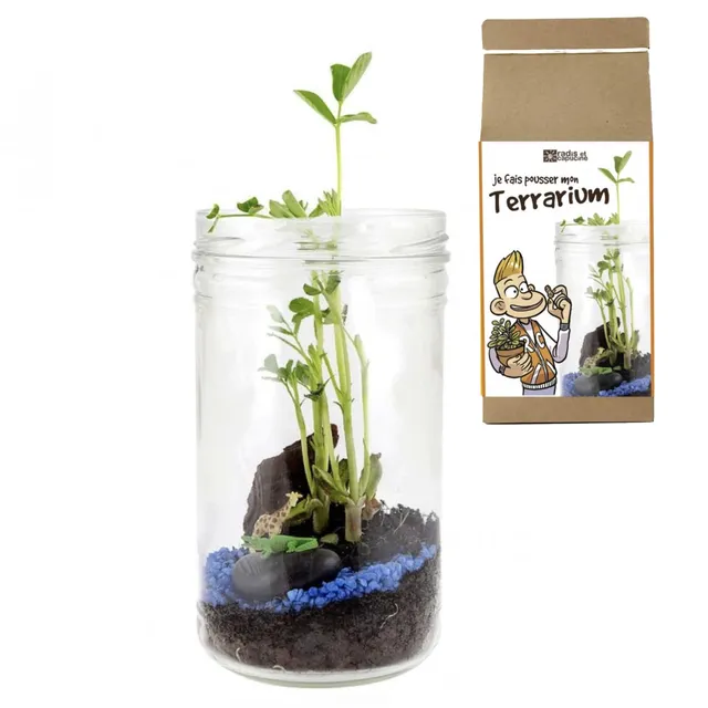 mes-courses-en-vrac-terrariums-savane-bocal-verre-kit-complet image 1