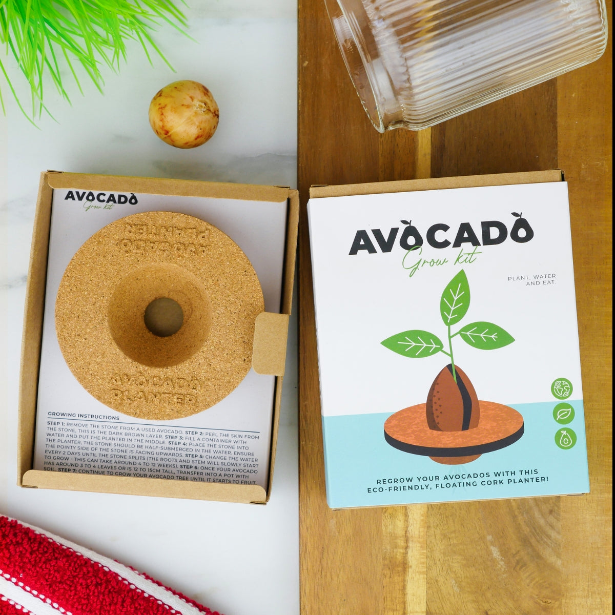 gift-republic-kit-avocat-pot-li-ge-germination-noyau-maison image 1