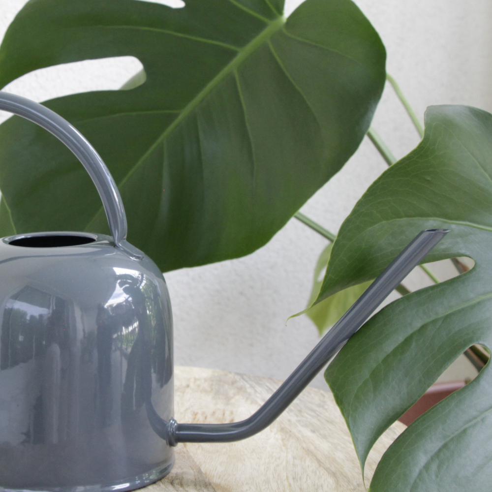 guillouard-luciole-arrosoir-rond-1-5l-gris-anthracite image 4