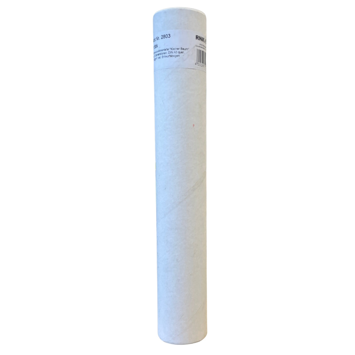 arbre-g-n-alogique-coffret-papier-a3-5-g-n-rations image 6