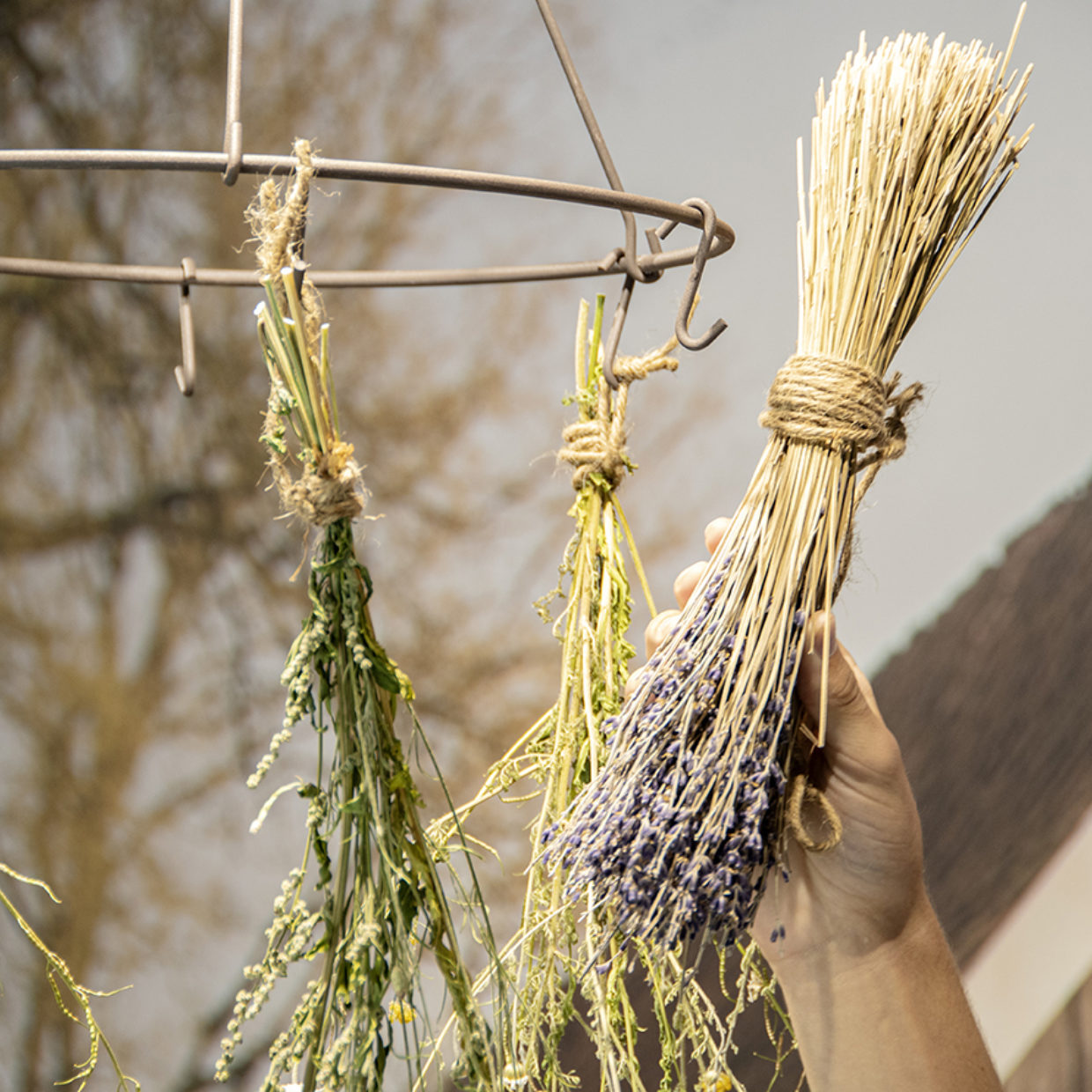 mes-courses-en-vrac-jardinage-s-choir-m-tal-fleurs-et-herbes image 2