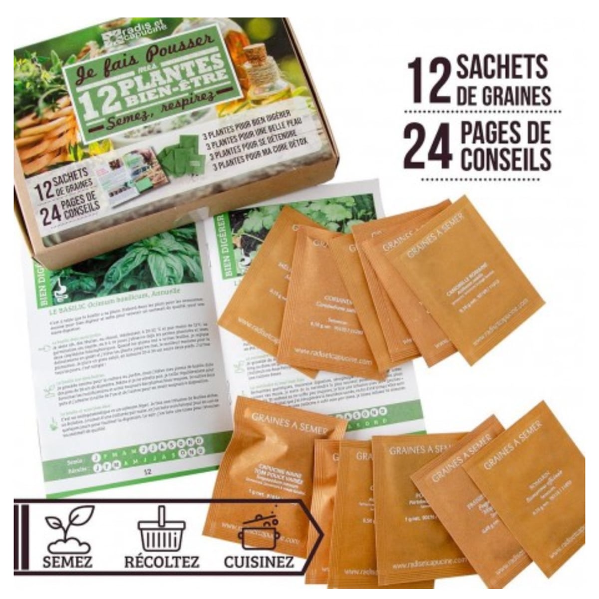 mes-courses-en-vrac-kits-planter-12-plantes-bien-tre-kit-graines image 2