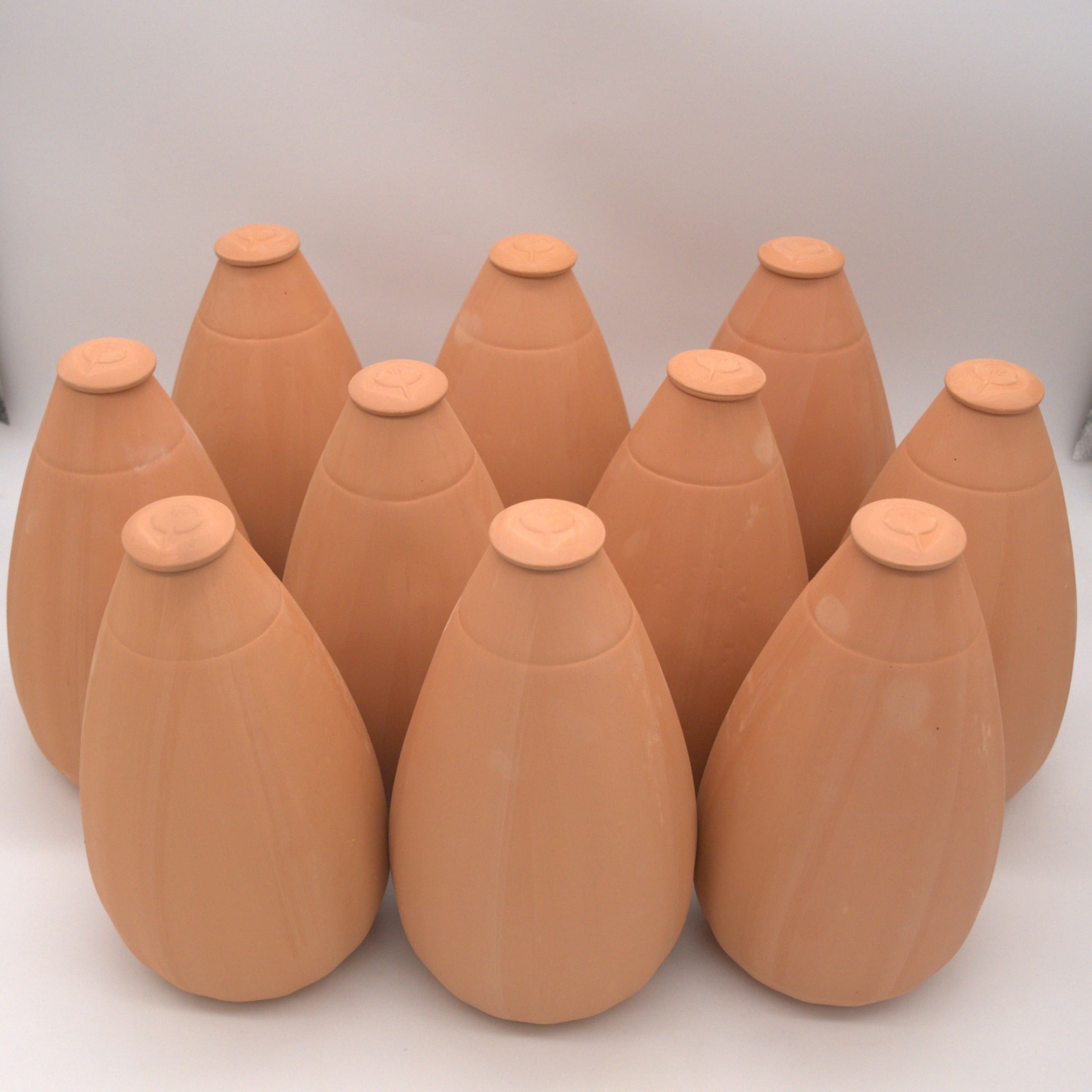 wepot-packs-ollas-grand-pack-10-xl-olla-2-5-l-terre-cuite image 1