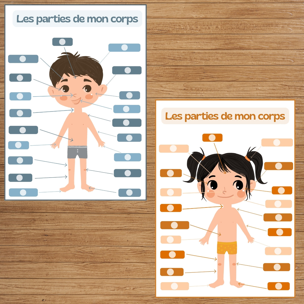 toasty-tableau-j-apprends-corps-gar-on-activit-ducative image 4