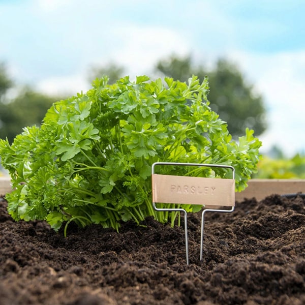 kit-poin-ons-tiquette-de-plantes-potager image 3