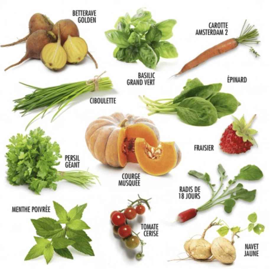 coffret-jardiner-en-permaculture-12-sachets-graines-potager image 3