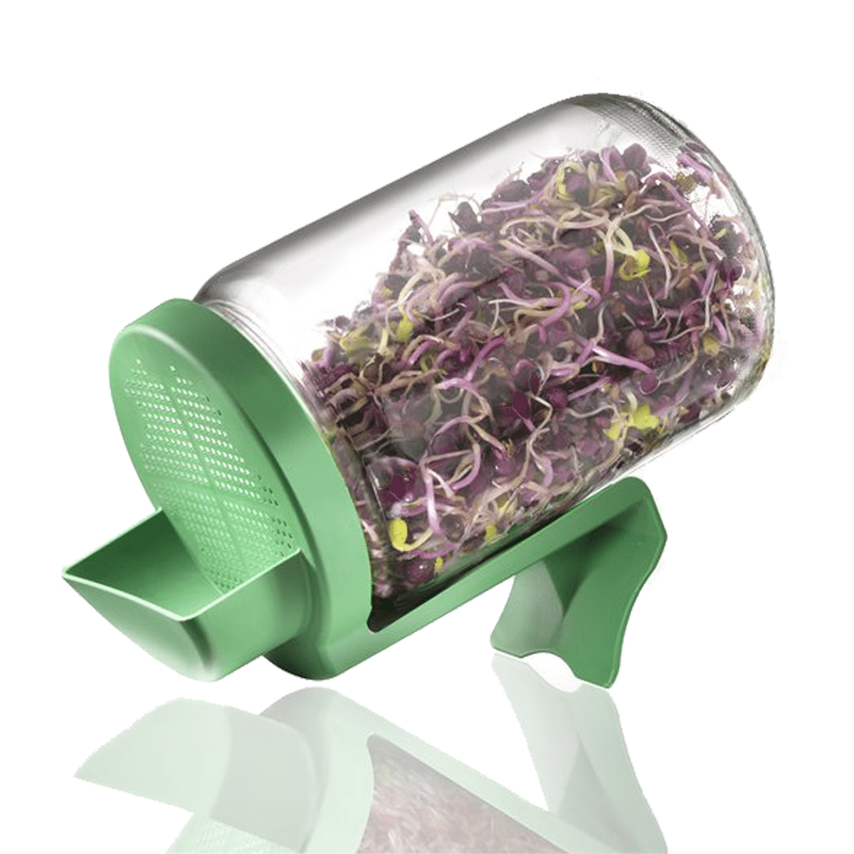 mes-courses-en-vrac-germination-et-plantes-germoir-bocal-verre-660-ml image 4