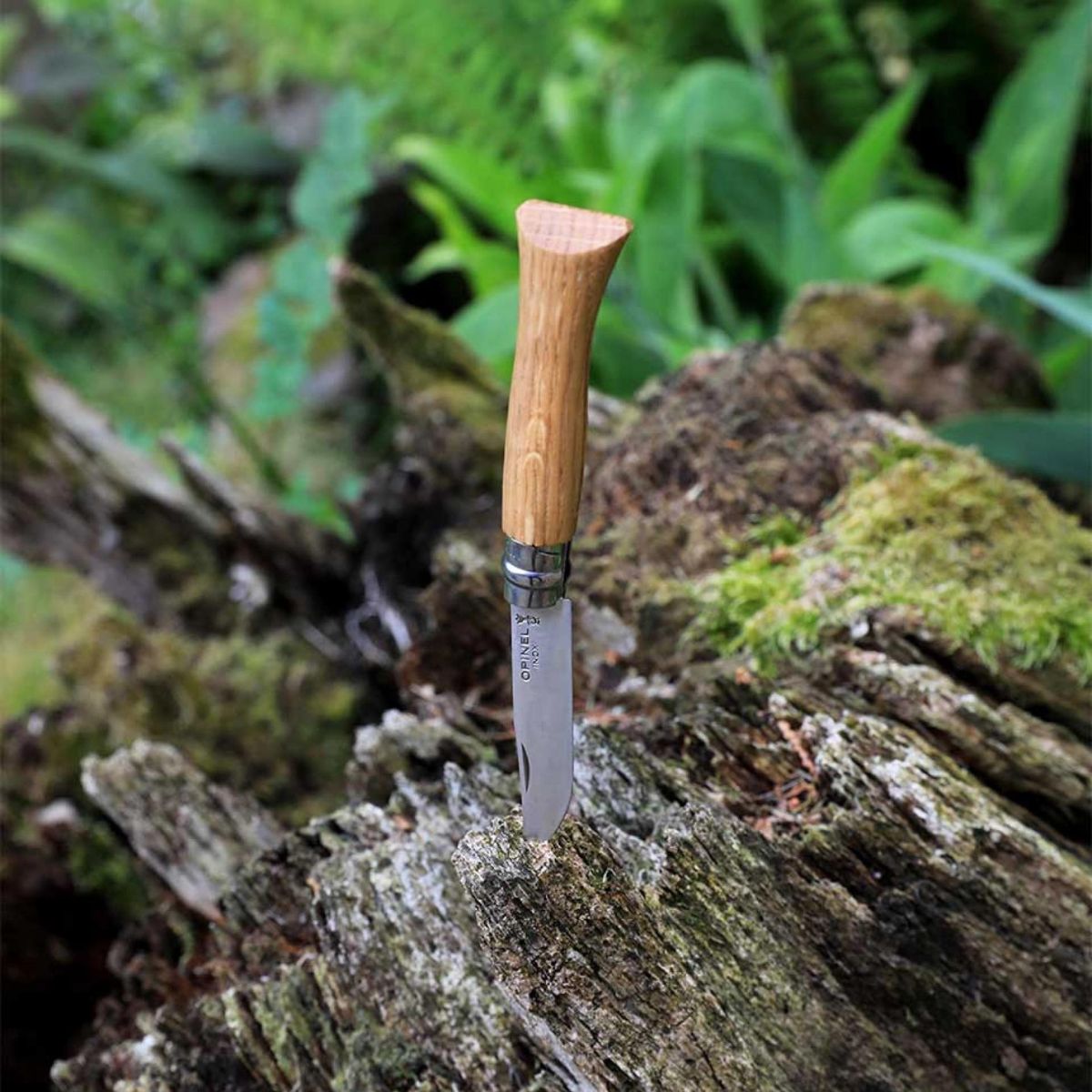 mes-courses-en-vrac-opinel-n-08-ch-ne-couteau-pliant image 5