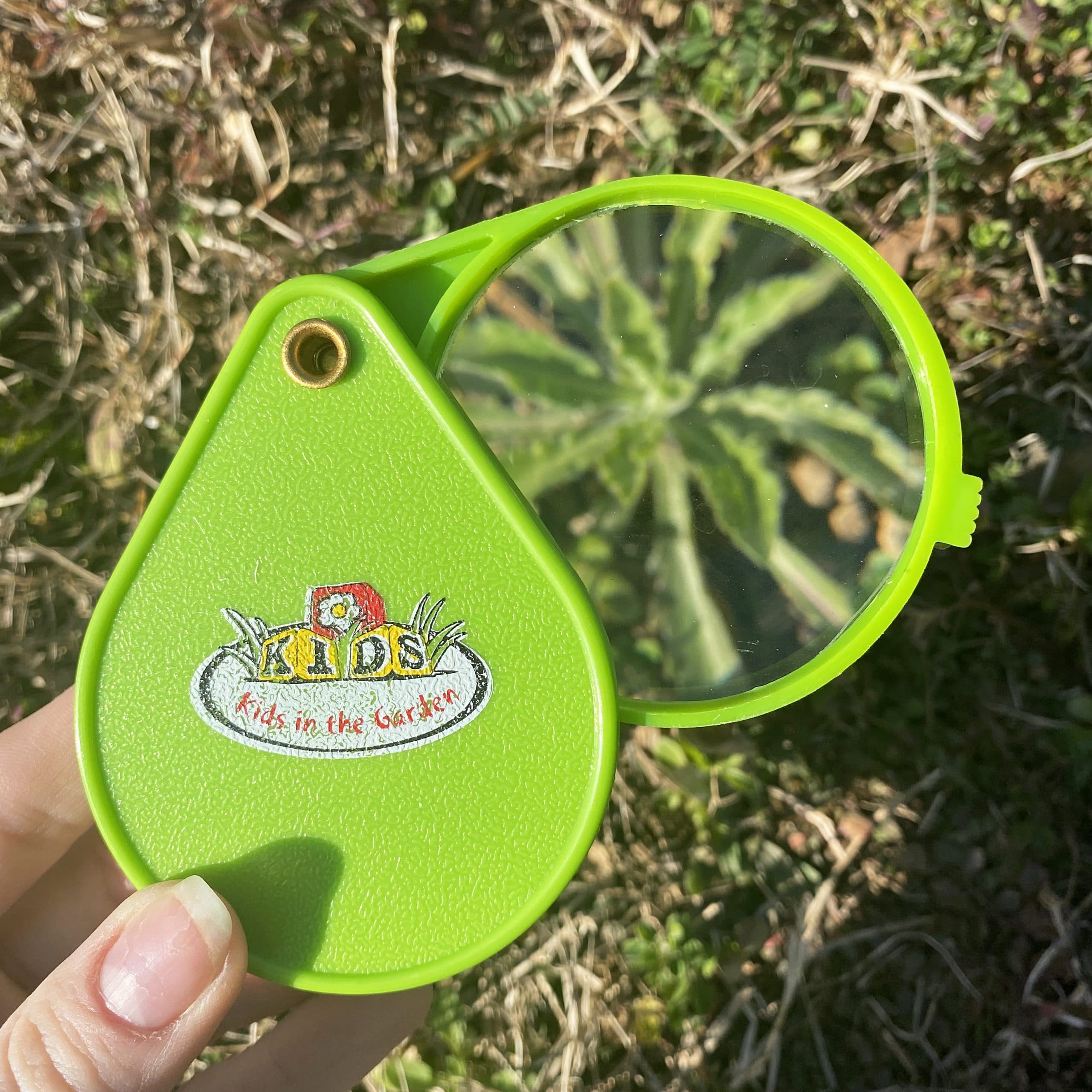 esschert-design-loupe-enfant-x6-insectes-et-exploration image 1