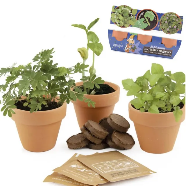 mes-courses-en-vrac-trio-plantes-magiques-kit-planter-sensitive image 1