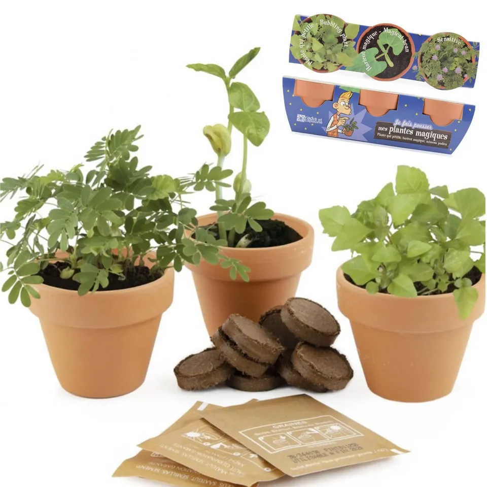 mes-courses-en-vrac-trio-plantes-magiques-kit-planter-sensitive image 1