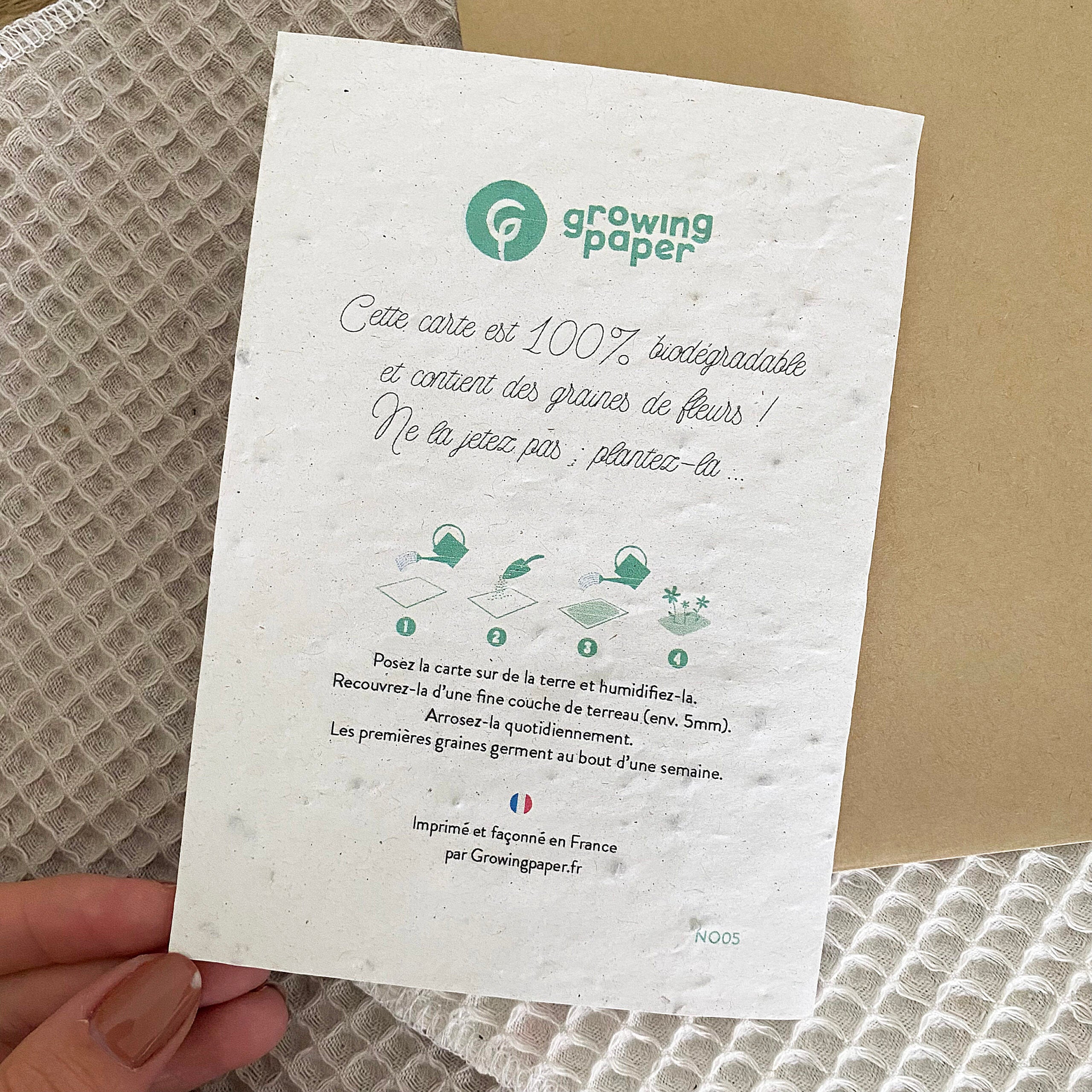 mes-courses-en-vrac-carte-ensemenc-e-joyeux-no-l-planter-papier-graines image 5