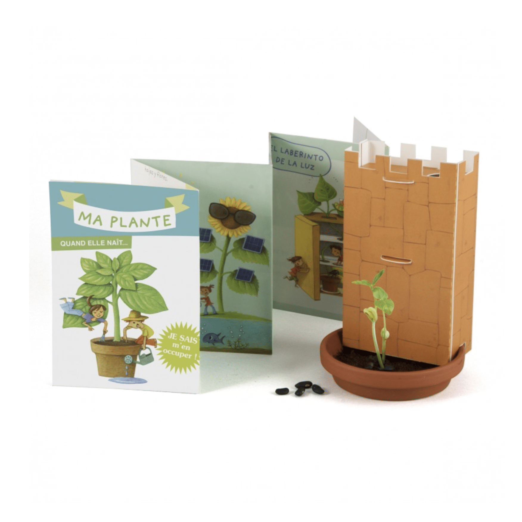 mes-courses-en-vrac-miracle-coffret-germination-haricot-enfant-5-10-j image 1