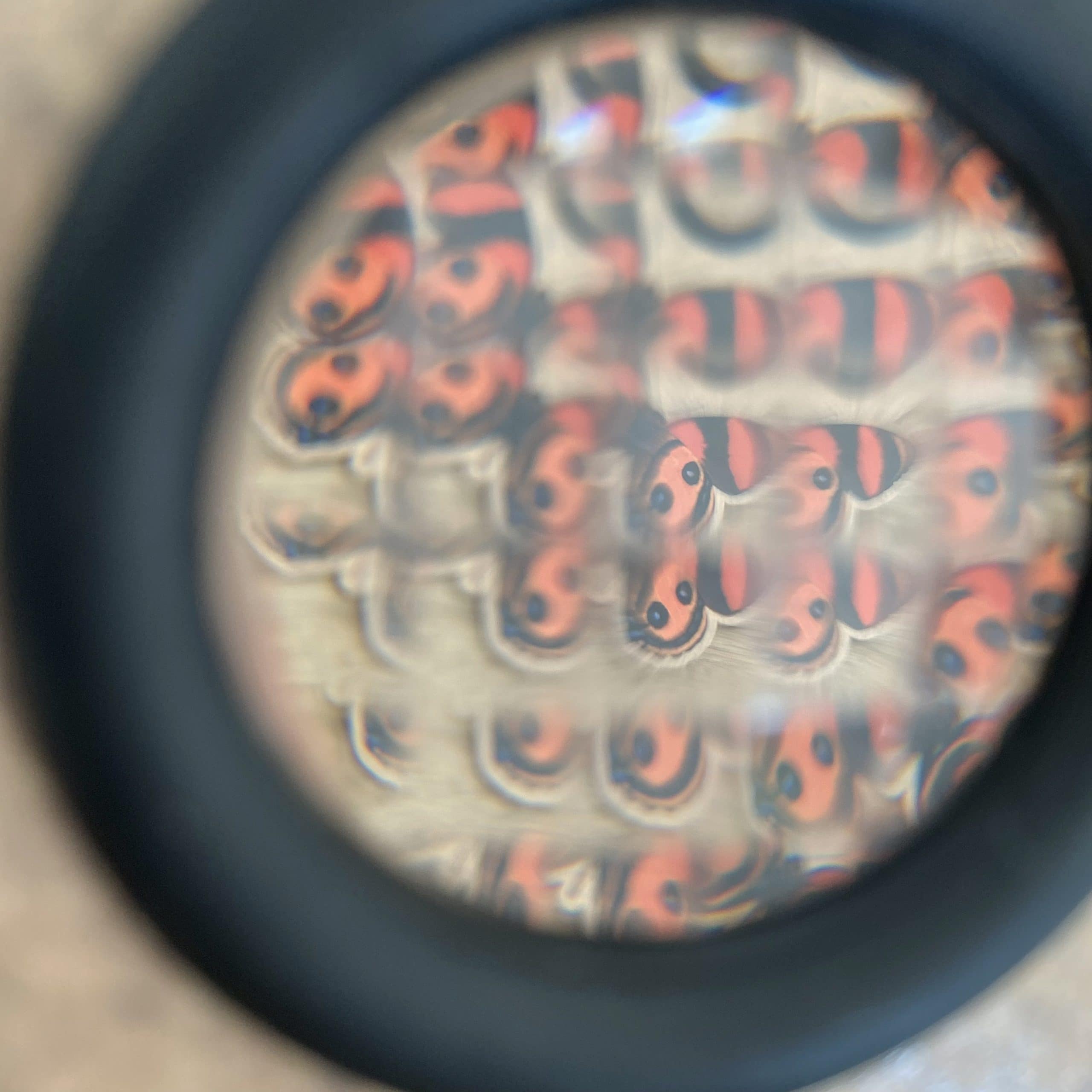 loupe-il-d-insectes-kal-idoscope-enfant-14-cm-bois image 2