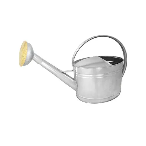guillouard-luciole-arrosoir-10l-acier-galvanis-pomme-laiton image 1