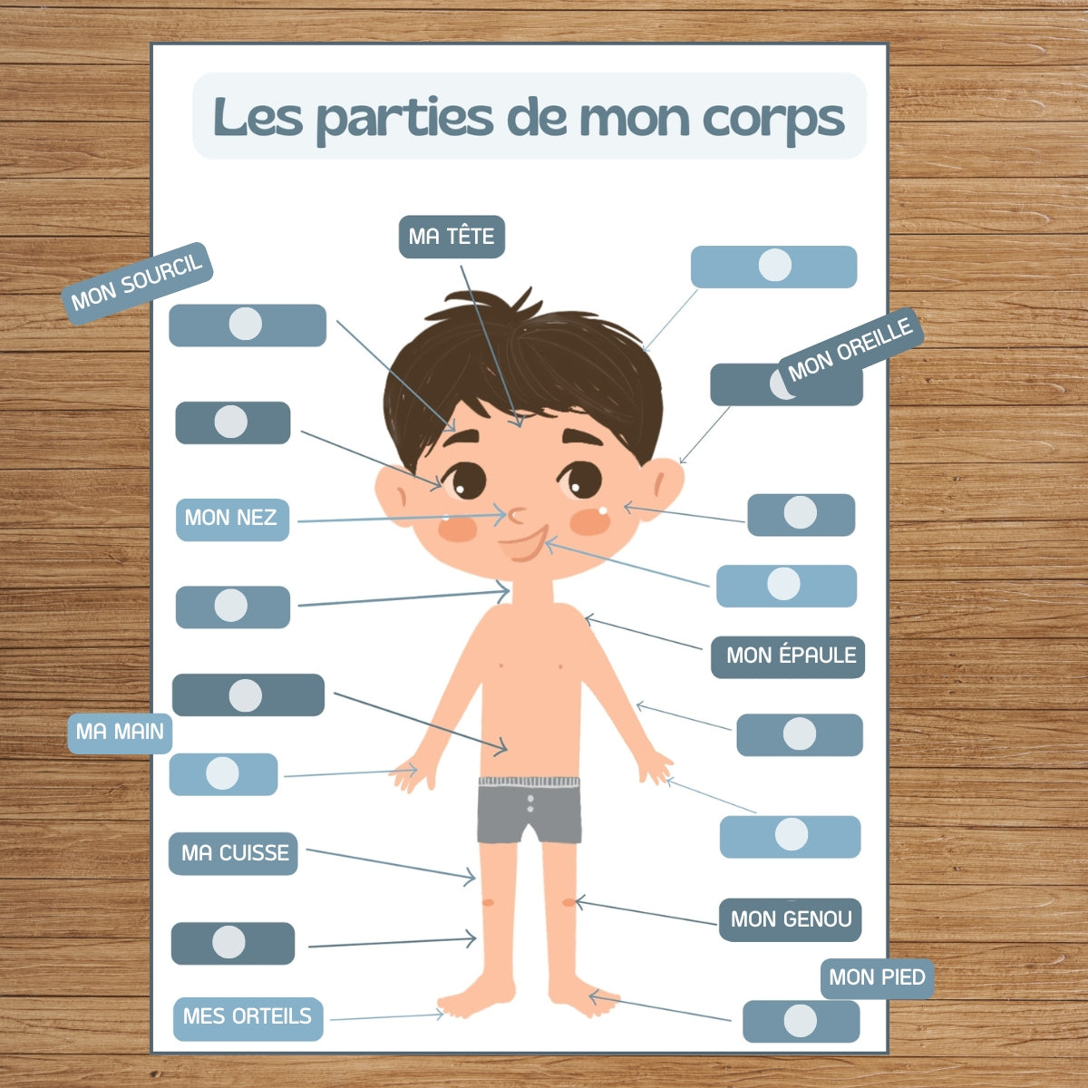 toasty-tableau-j-apprends-corps-gar-on-activit-ducative image 1