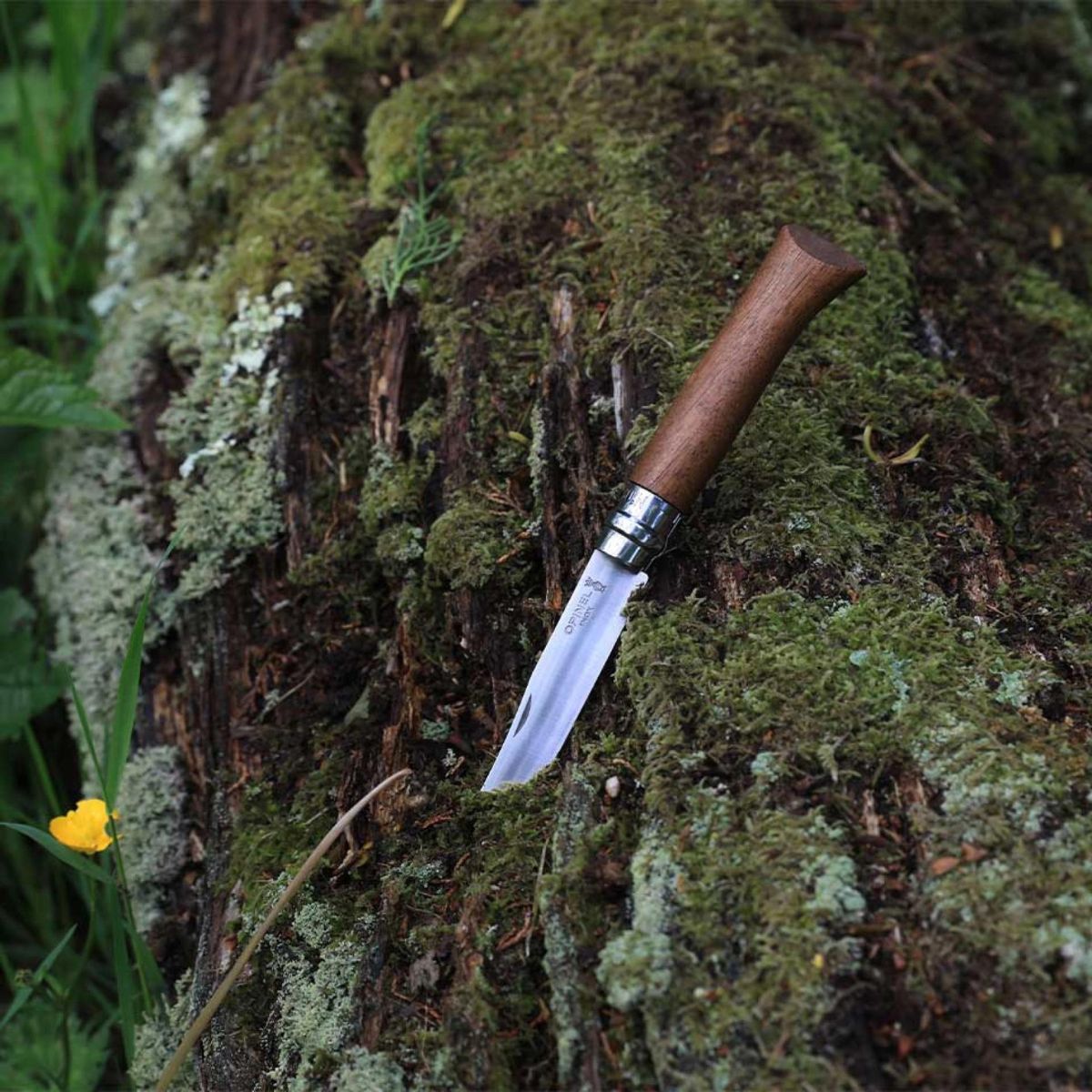 opinel-n-08-couteau-pliant-manche-noyer-tradition image 4