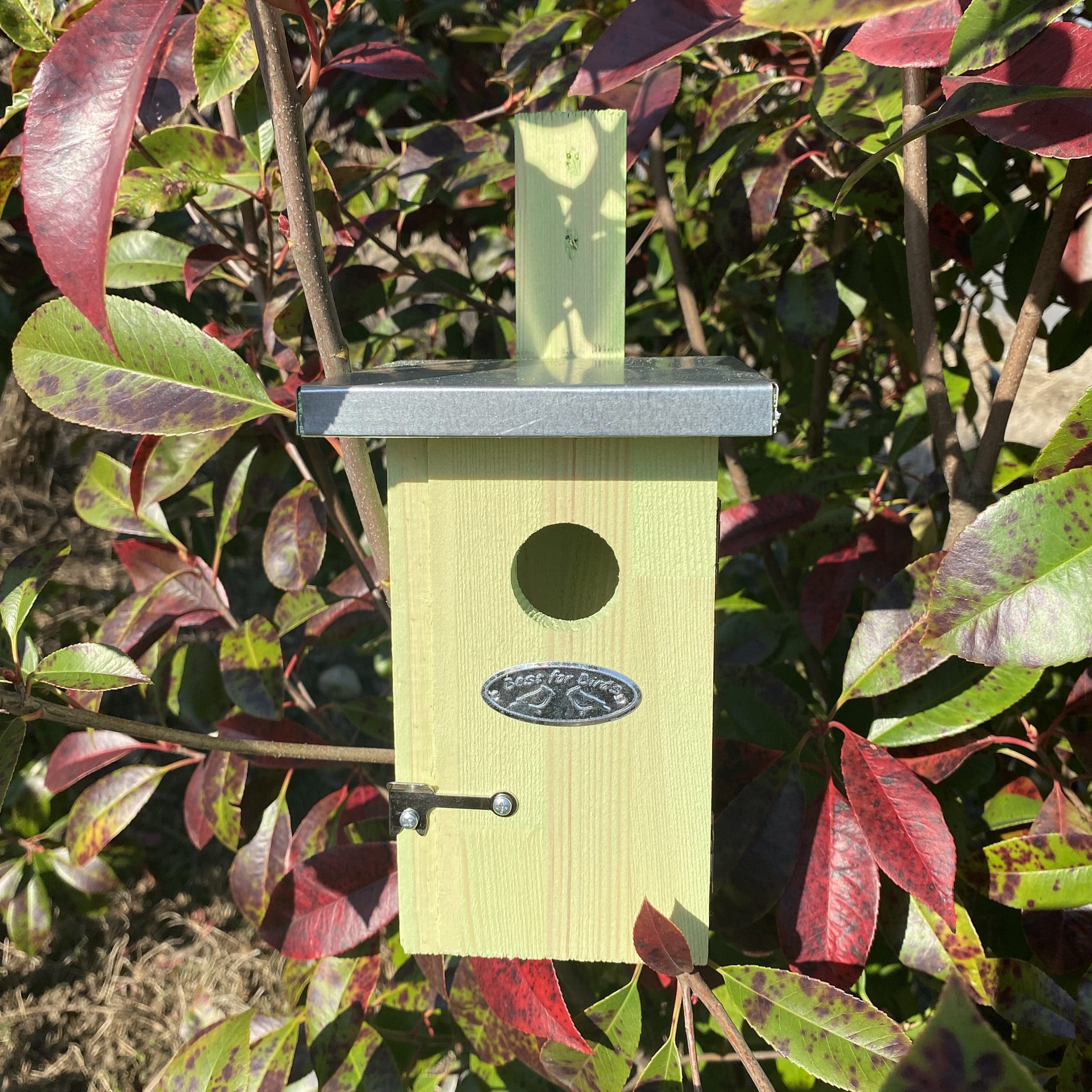 esschert-design-nichoir-roitelet-cabane-oiseaux-bois-30-mm image 2