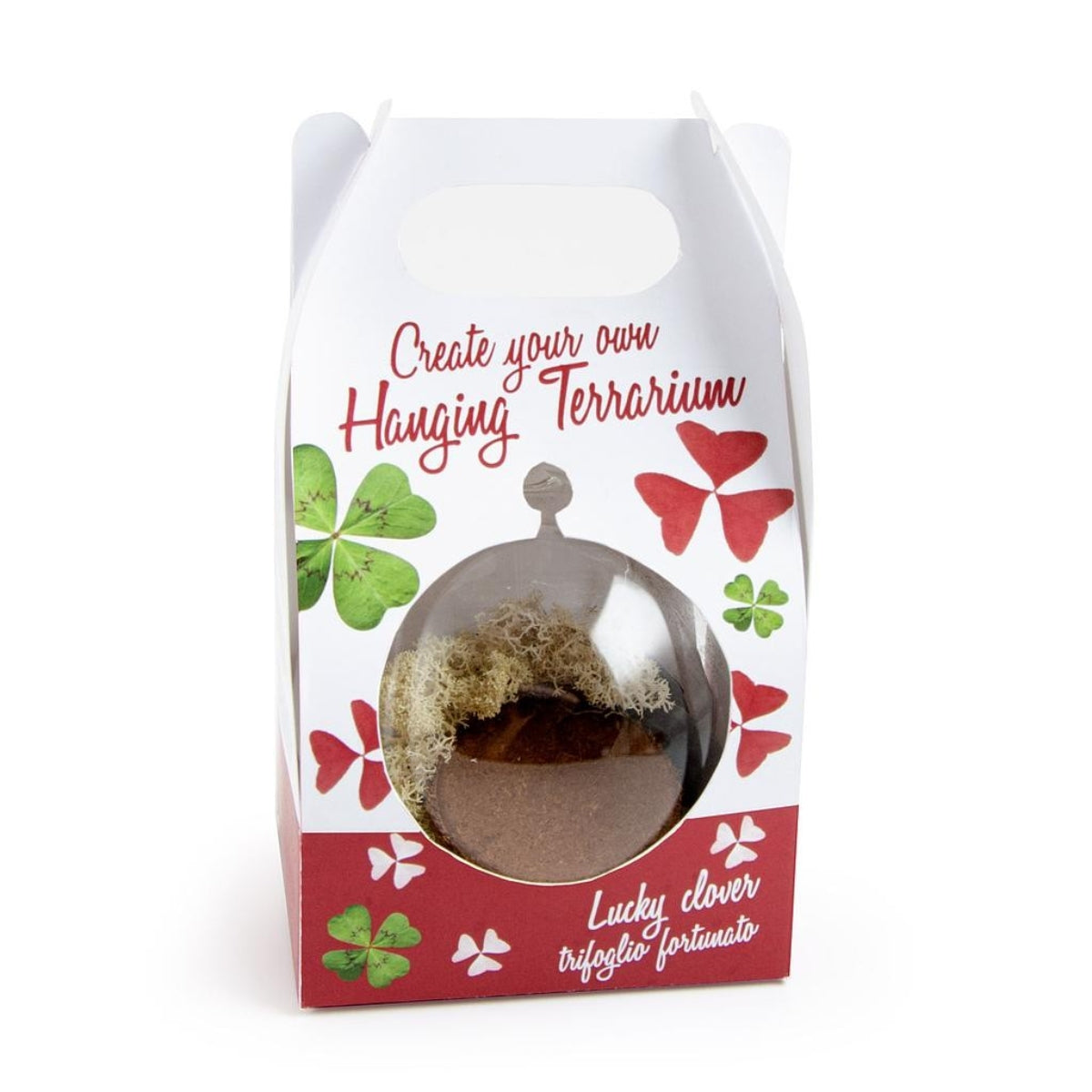 mes-courses-en-vrac-terrarium-v-g-tal-kit-tr-fles-4-feuilles-oxalis image 2