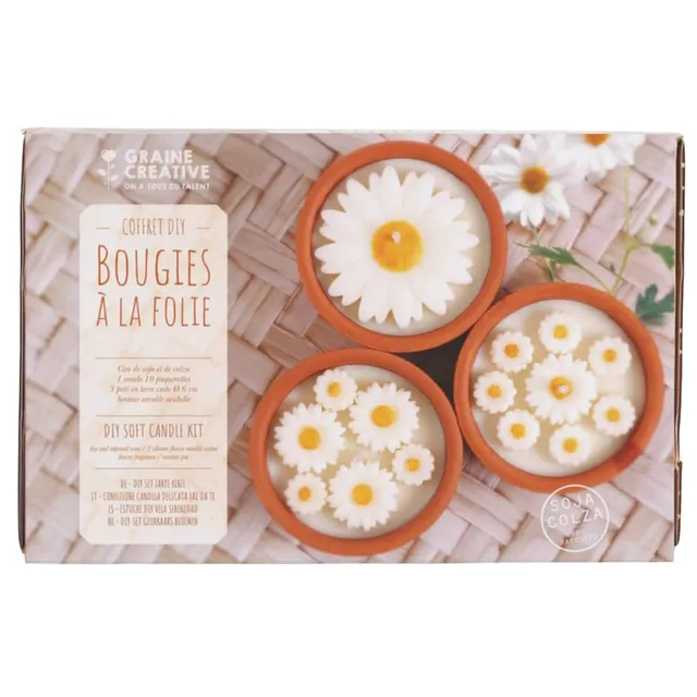 graine-cr-ative-kit-diy-bougies-la-folie-cire-soja image 1