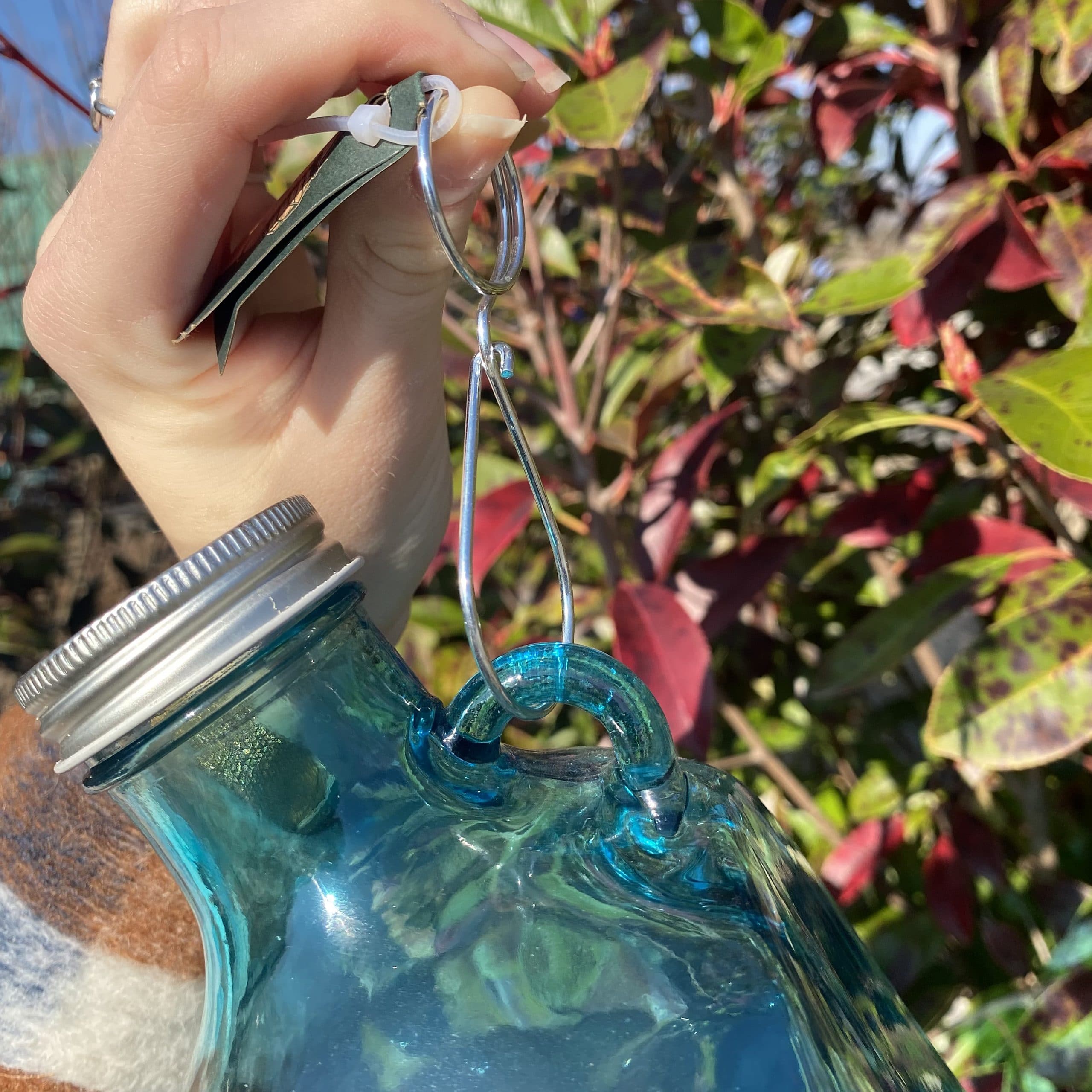 esschert-design-pi-ge-gu-pes-mural-verre-20-cm image 3