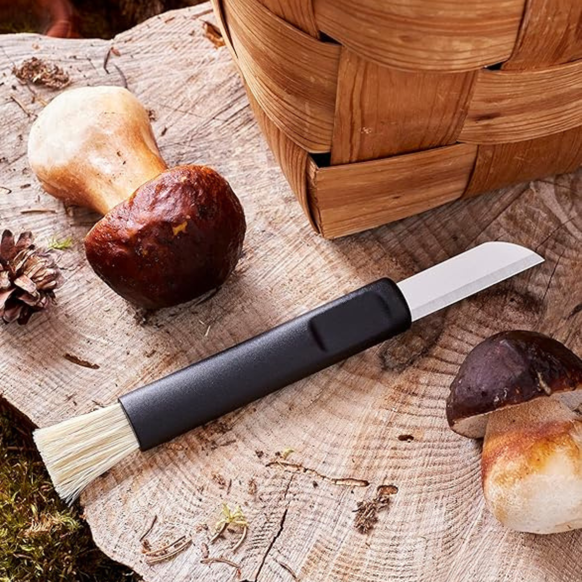 couteau-champignons-lame-acier-brosse-nettoyage image 2